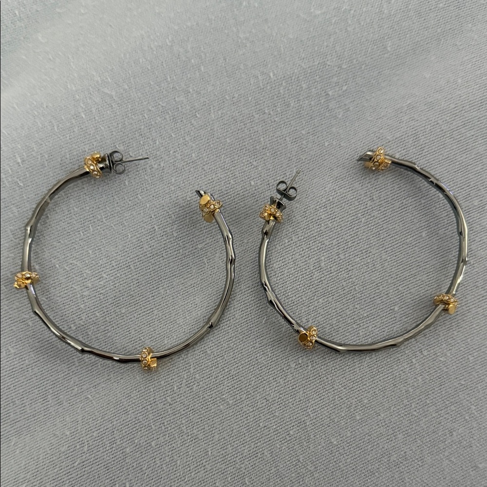 Elegant Gold and Silver Hoop Earrings